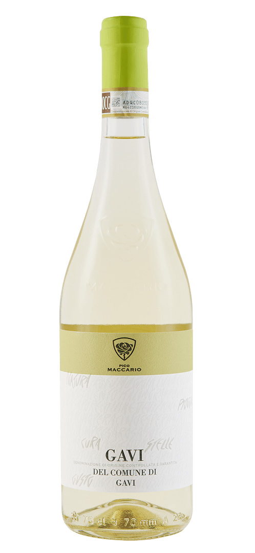 Gavi