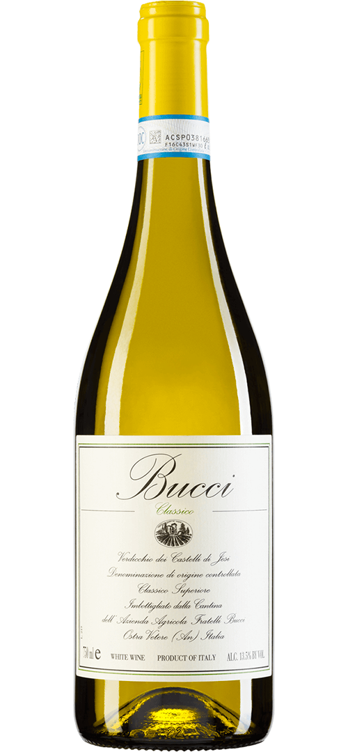 Bucci Classico